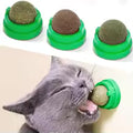 🌿Bola adhesiva de pared de gato con hierba gatera Natural, rascadores de juguete, golosinas, elimina bolas naturales saludables para promover la digestión, aperitivos de hierba para gatos